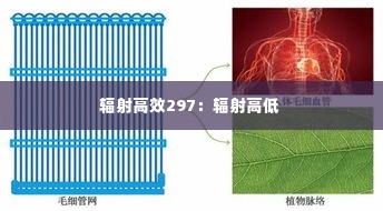 辐射高效297：辐射高低 