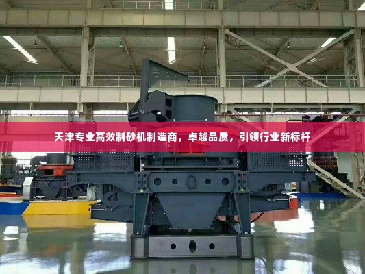 天津专业高效制砂机制造商，卓越品质，引领行业新标杆
