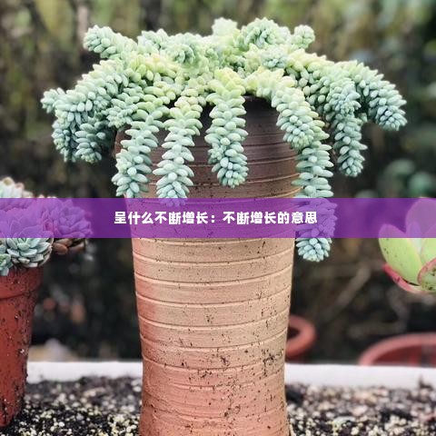 呈什么不断增长：不断增长的意思 