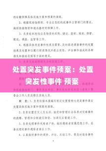处置突发事件预案：处置突发性事件 预案 