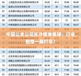 中国公关公司长沙榜单揭秘，行业翘楚一网打尽！
