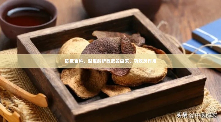 陈皮百科，深度解析陈皮的由来、功效及作用