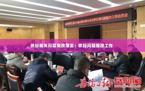 抓好相关问题整改落实：抓好问题整改工作 