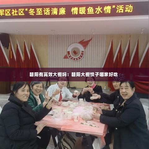 朝阳有高效大棚吗：朝阳大棚饺子哪家好吃 