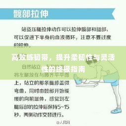 高效练韧带，提升柔韧性与灵活性的终极指南