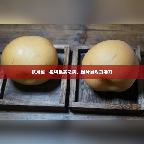 秋月梨，独特果实之美，图片展现其魅力