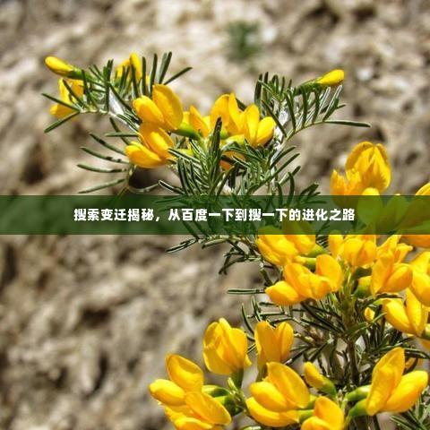 搜索变迁揭秘，从百度一下到搜一下的进化之路