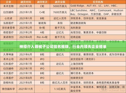 神经介入器械子公司排名揭晓，行业内领先企业榜单