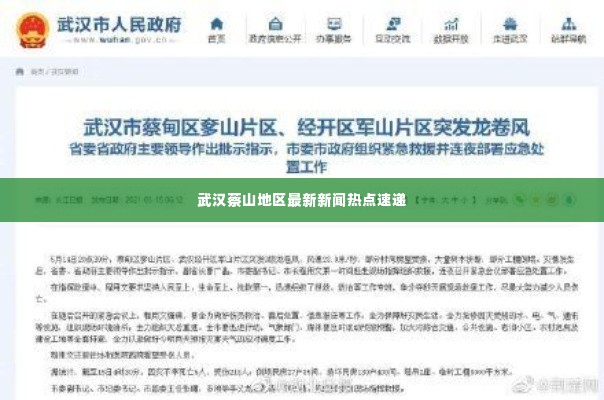 武汉蔡山地区最新新闻热点速递