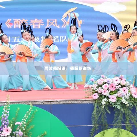 高效舞蹈班：舞蹈班训练 
