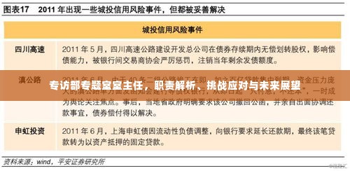专访部专题室室主任，职责解析、挑战应对与未来展望