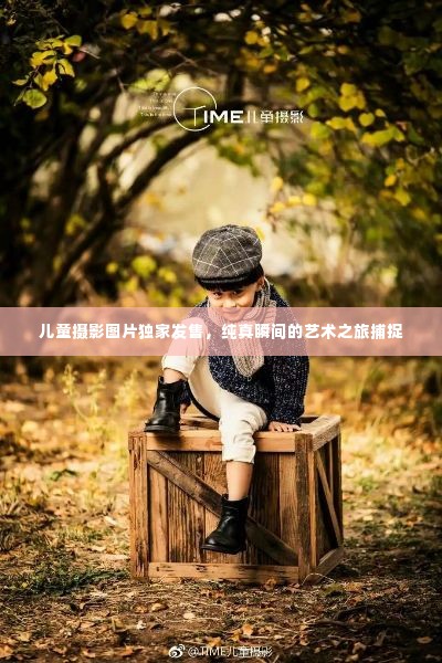 鞭驽策蹇 第2页