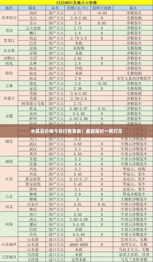 水晶豆价格今日行情更新！最新报价一网打尽