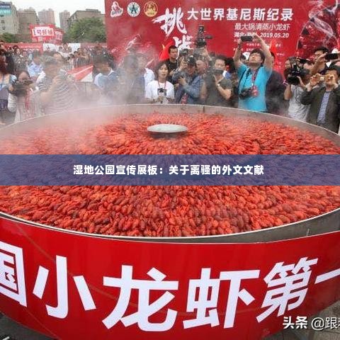 湿地公园宣传展板：关于离骚的外文文献 