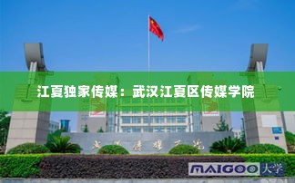 江夏独家传媒：武汉江夏区传媒学院 