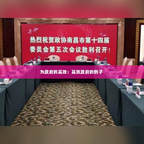 为政府的高效：高效政府的例子 