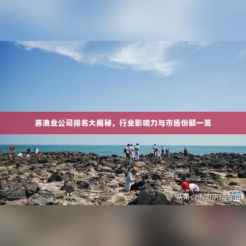 还淳反素 第2页