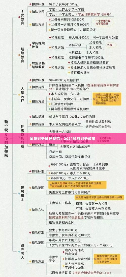 国税财务管理规范：2021税务财务政策 