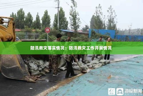 防汛救灾落实情况：防汛救灾工作开展情况 