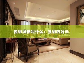 独家风格叫什么：独家的好处 