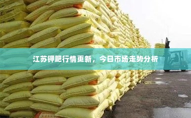 江苏钾肥行情更新，今日市场走势分析