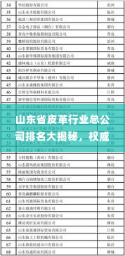山东省皮革行业总公司排名大揭秘，权威解析TOP榜单！