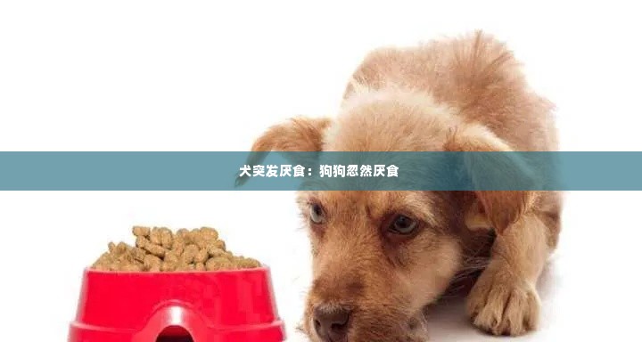 犬突发厌食：狗狗忽然厌食 