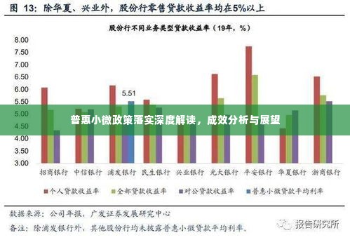 普惠小微政策落实深度解读，成效分析与展望