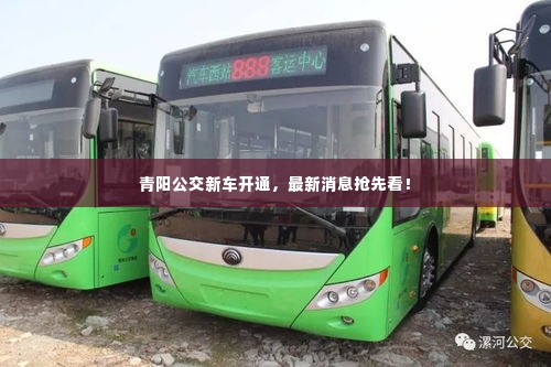 青阳公交新车开通，最新消息抢先看！