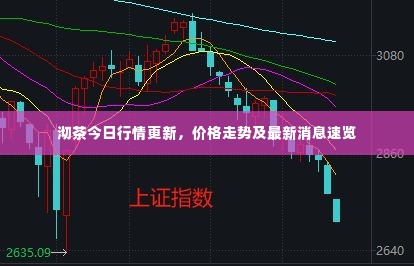 物以稀为贵 第3页