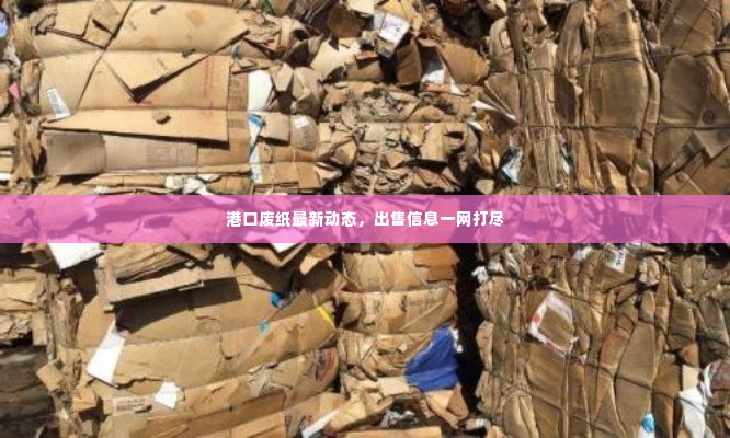 港口废纸最新动态，出售信息一网打尽