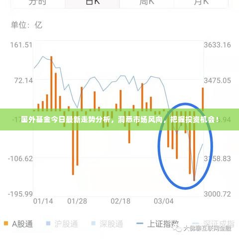 国外基金今日最新走势分析，洞悉市场风向，把握投资机会！