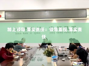 加上领导 落实责任：领导重视 落实责任 