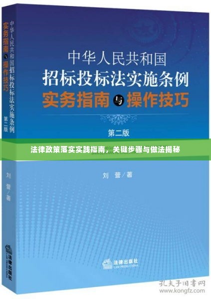 法律政策落实实践指南，关键步骤与做法揭秘
