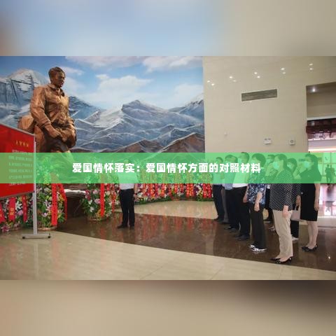 爱国情怀落实：爱国情怀方面的对照材料 