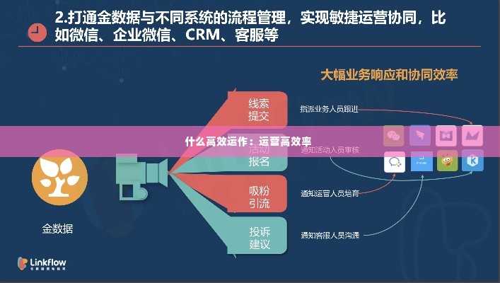 什么高效运作：运营高效率 