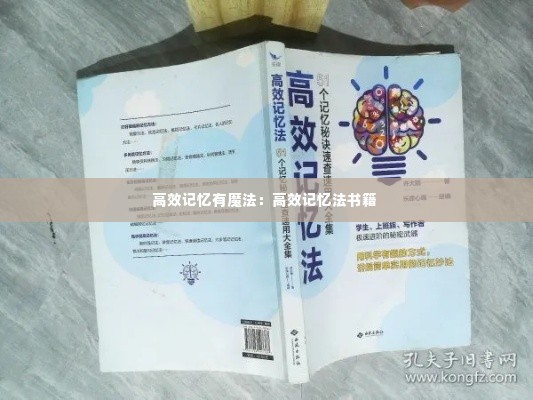 高效记忆有魔法：高效记忆法书籍 