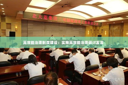 高效能治理制度建设：实施高效能治理研讨发言 