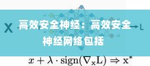 高效安全神经：高效安全神经网络包括 