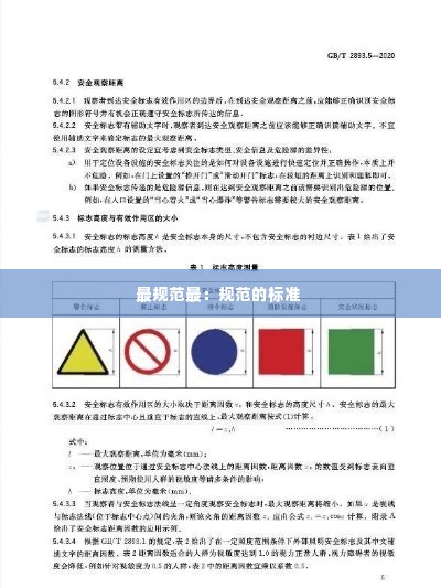 最规范最：规范的标准 