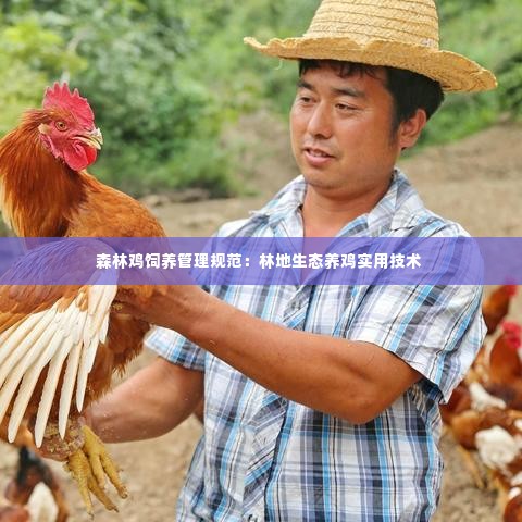 森林鸡饲养管理规范：林地生态养鸡实用技术 