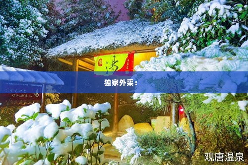 独家外采： 