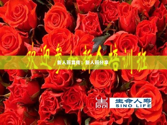 新人班宣传：新人班分享 