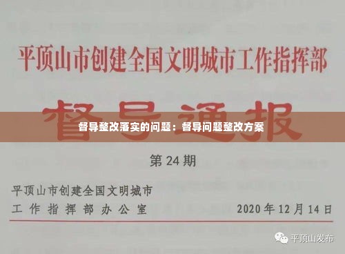 督导整改落实的问题：督导问题整改方案 
