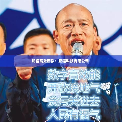 肥猫高效团队：肥猫科技有限公司 