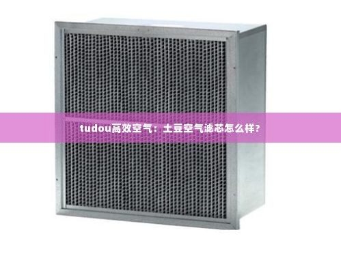 tudou高效空气：土豆空气滤芯怎么样? 