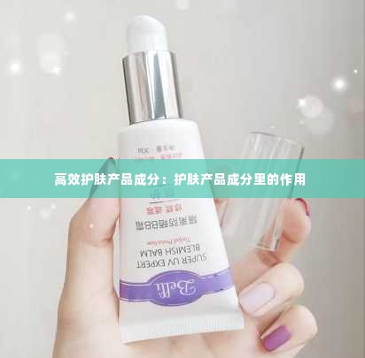 一往无前 第2页