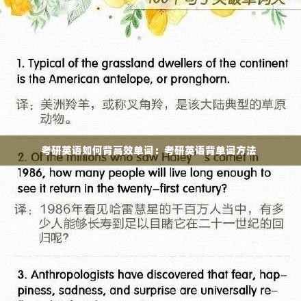 考研英语如何背高效单词：考研英语背单词方法 