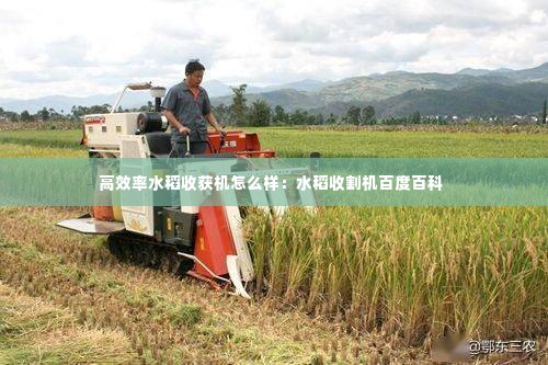 高效率水稻收获机怎么样：水稻收割机百度百科 