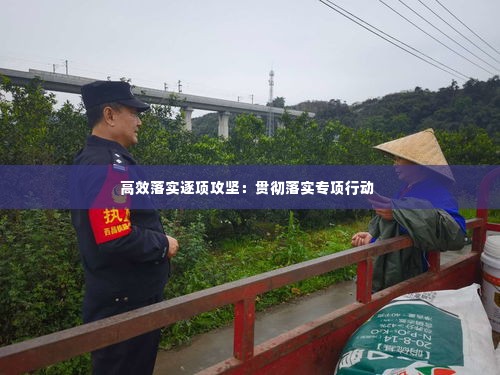 高效落实逐项攻坚：贯彻落实专项行动 